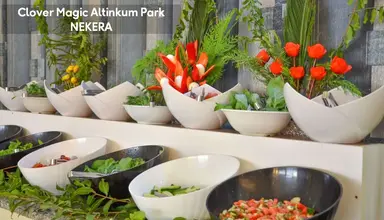Altinkum Park