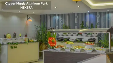 Altinkum Park