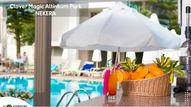 Altinkum Park