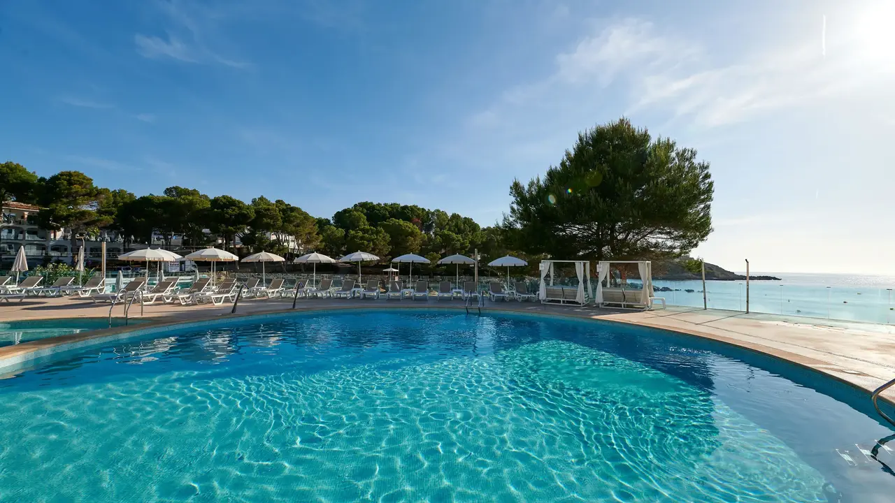 AluaSoul Carolina