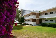 AluaSun Cala Antena