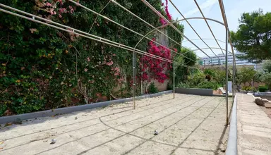 AluaSun Cala Antena