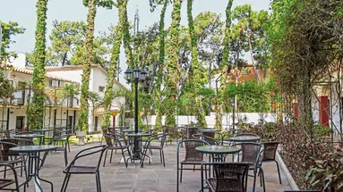 AluaSun Marbella Park