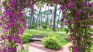 AluaSun Marbella Park