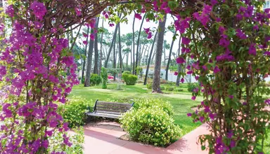 AluaSun Marbella Park