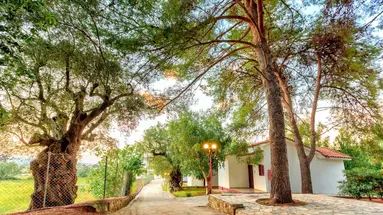 Alykes Park Bungalows & Apartments