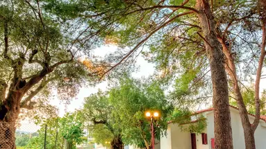 Alykes Park Bungalows & Apartments