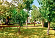 Alykes Park Bungalows & Apartments