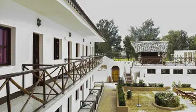 Amaan Nungwi