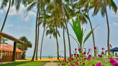 Amagi Beach