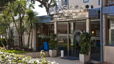Amaraigua