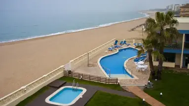 Amaraigua