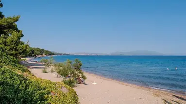 Amari (Metamorfosi)