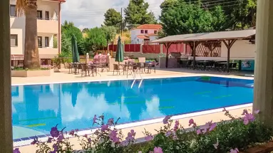 Amari (Metamorfosi)