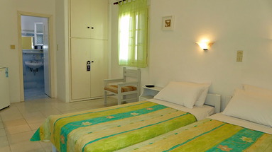 Amaryllis Paros
