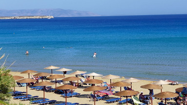 Amaryllis Paros