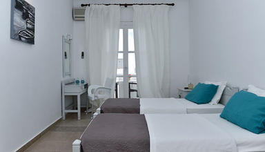 Amaryllis Paros