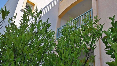 Amazones Sun Suites