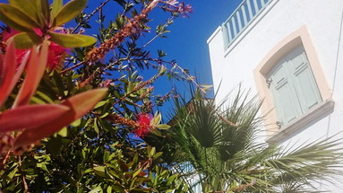 Amazones Sun Suites