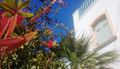Amazones Sun Suites