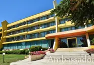 Ambassador