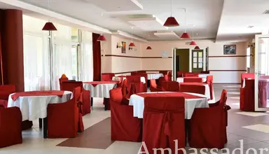 Ambassador