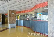 Ambassador