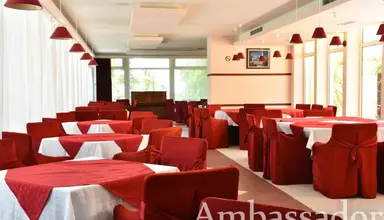 Ambassador