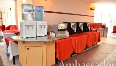 Ambassador