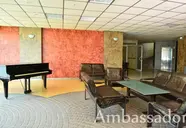 Ambassador