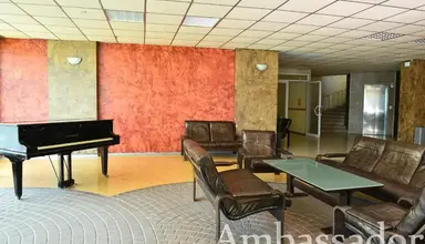 Ambassador