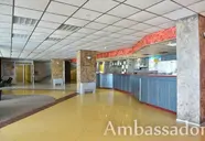 Ambassador