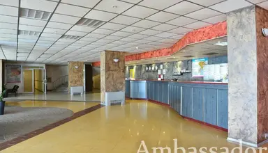 Ambassador