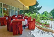 Ambassador