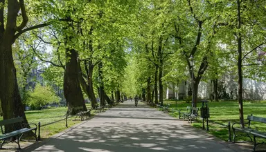 Amber (Kraków)