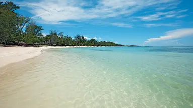 Ambre Mauritius