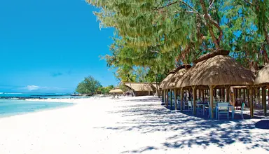 Ambre Mauritius