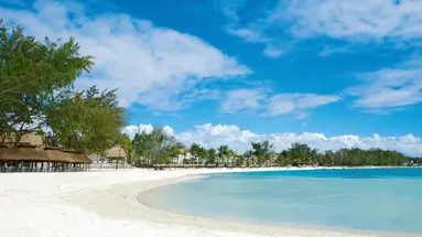 Ambre Mauritius