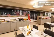Amedia Milan Trademark Collection by Wyndham