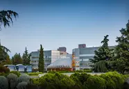 Aminess Vival Maestral (Novigrad)