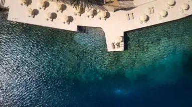 Aminess Younique Lume