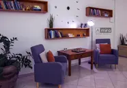 Amira