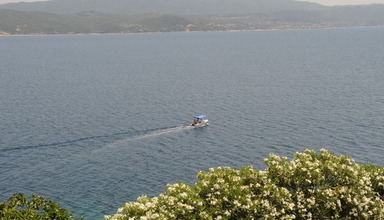 Ammouliani