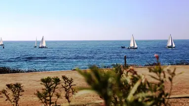 Amphora (Paphos)
