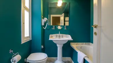 Anahi