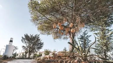 Ananea Castelo Suites