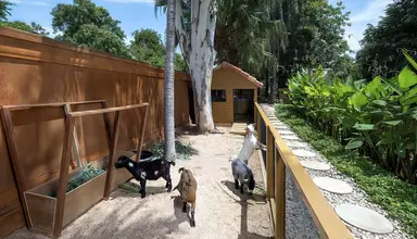 Anantara Hua Hin Resort