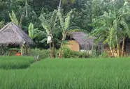 Anantara Peace Haven Tangalle Resort