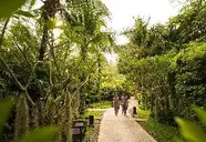 Anantara Phuket Layan Resort