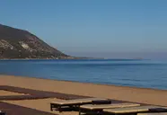 Anassa